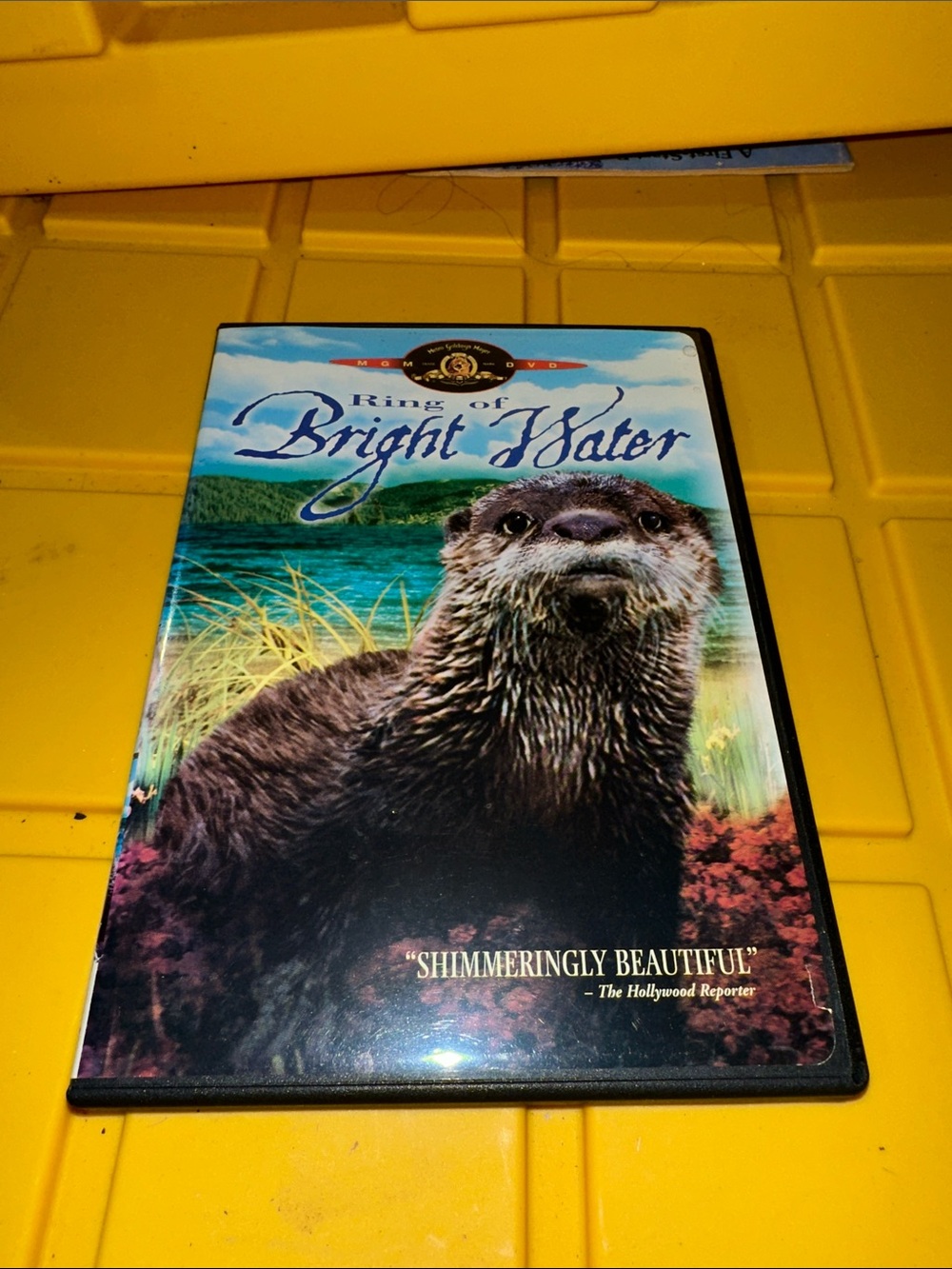 “Ring of Bright Water” dvd